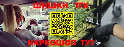 прущие крисы Сланцы