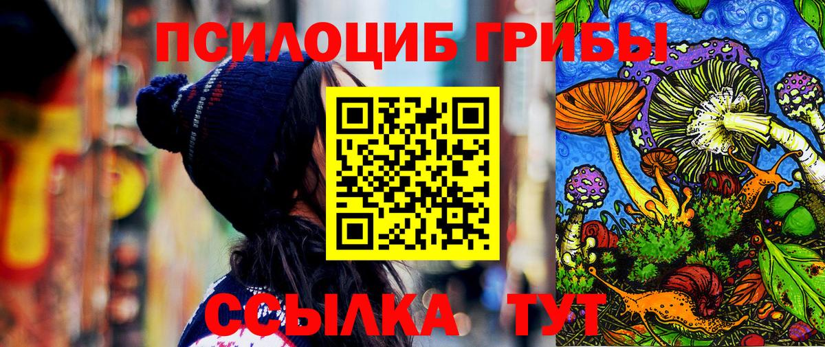 Галлюциногенные грибы прущие грибы Острогожск