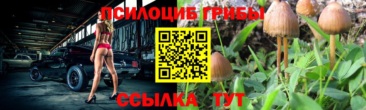 Галлюциногенные грибы Cubensis  купить  цена  Острогожск  Вход с VPN 